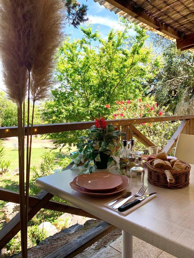 Camping Gallina Varja Sotta Bagian luar foto